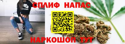стаф Братск