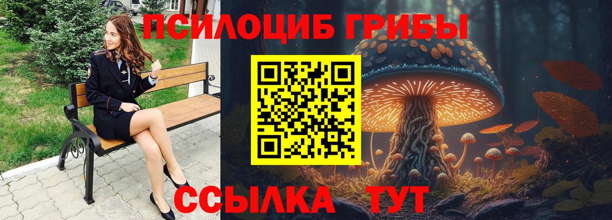 Галлюциногенные грибы GOLDEN TEACHER Саяногорск