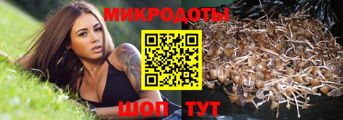 Саяногорск  Галлюциногенные грибы Psilocybe  Галлюциногенные грибы прущие грибы  Вход с VPN 